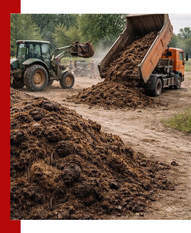 Доставка навоза самосвалами в Ставрополе для сельхозпотребностей